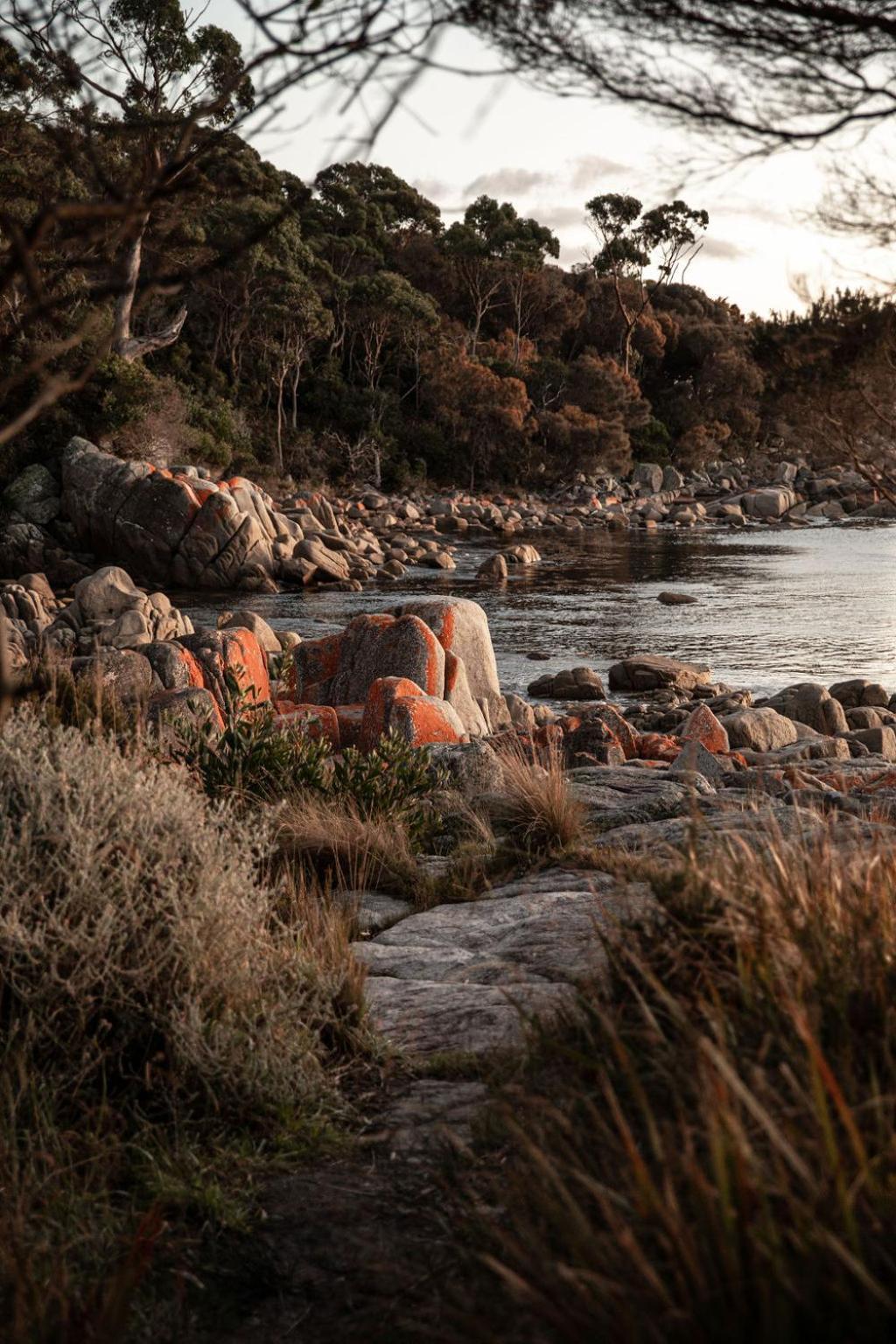 Driftwood Rest Binalong Bay Sleeps 4 Exterior foto