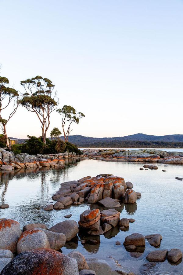 Driftwood Rest Binalong Bay Sleeps 4 Exterior foto